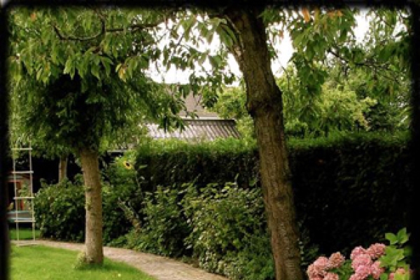 Pad van oude walen in Purmerend